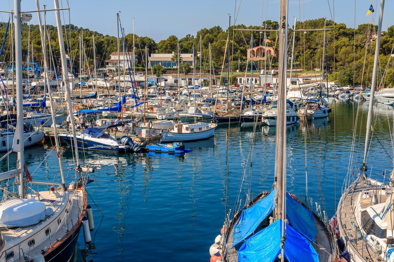 Malva * Alcúdia