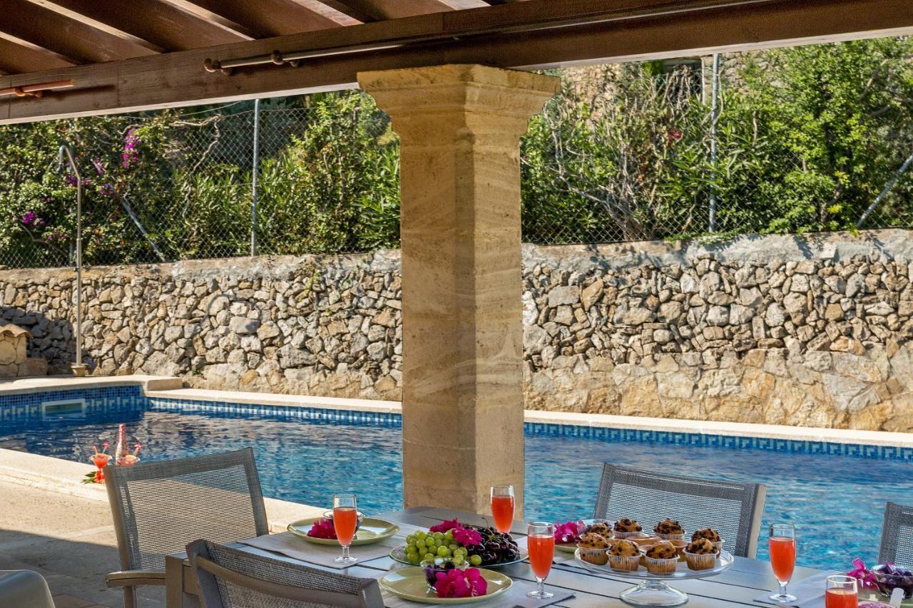 Malva * Alcudia (Mallorca)