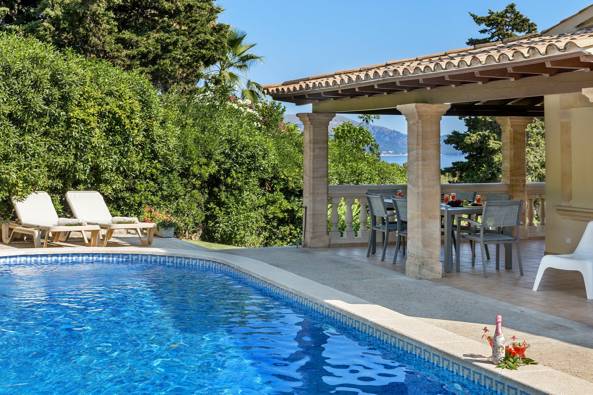 Malva Alcudia (Mallorca)